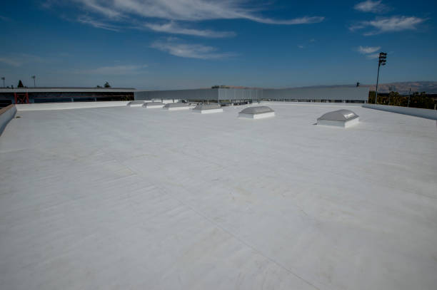 Best Skylight Installation and Repair  in Warminster Heights, PA