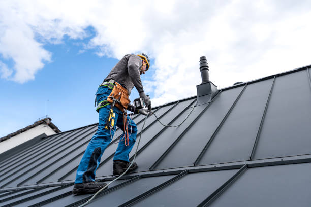 Best Skylight Installation and Repair  in Warminster Heights, PA